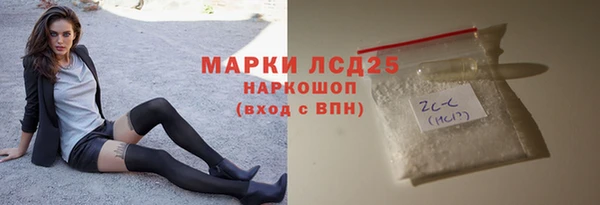 прущий лед Бородино
