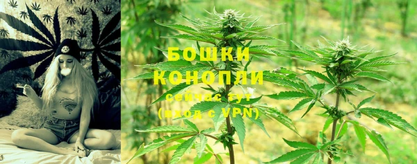 ГАЛЛЮЦИНОГЕННЫЕ ГРИБЫ Нефтегорск