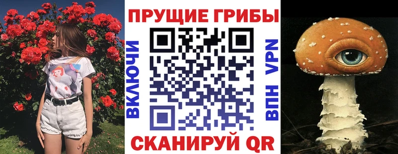 Галлюциногенные грибы Cubensis  Горняк 